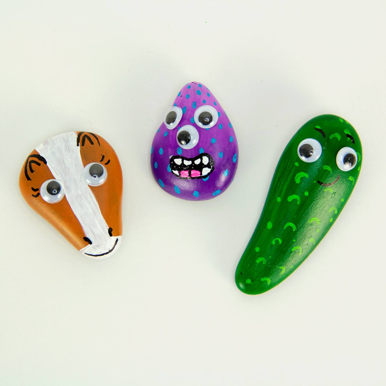 Through the Decades Pet Rock(s)